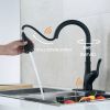 Pull Down Touchless Single Handle Kitchen Faucet